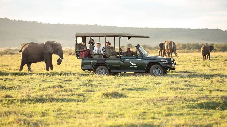 Elephant behing travelers' car in 1 day Tanzania private safari