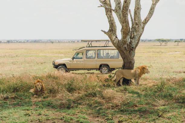 1-Day Lake Manyara Safari Tour Package