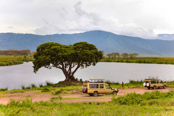 1-day Ngorongoro Crater Safari Tour Package