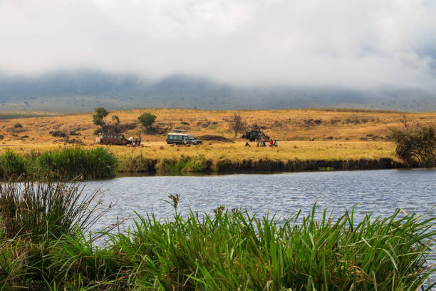 1-Day Tanzania Private Safari Tour