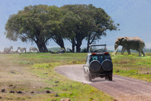 1-Day Tarangire Safari Tour Package