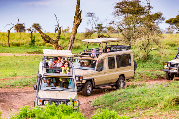 3-Day Tanzania Safari Tour Package