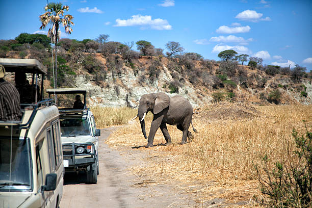 4-Day Tanzania Private Safari Tour Package