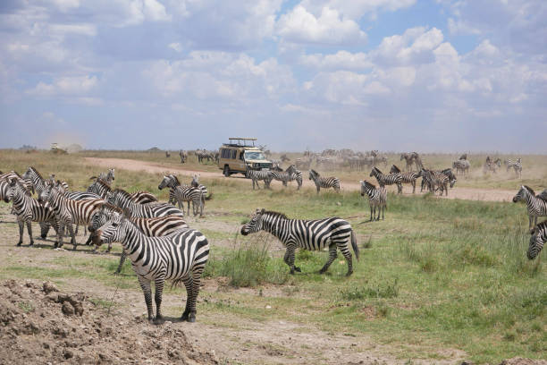 7-Day Tanzania Private Safari Tour