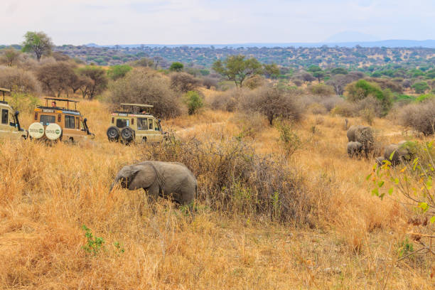 8-Day Tanzania Private Safari Tour Package