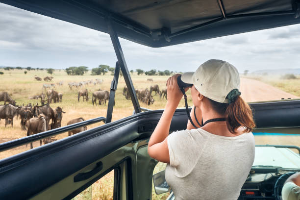 Tanzania Safari Packages